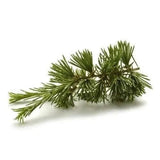 Cedarwood