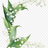 Lily of the valley