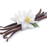 Vanilla